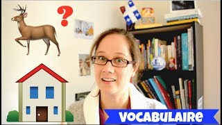 VISITE DUN APPARTEMENT QUÉBÉCOIS VOCABULAIRE [upl. by Vargas8]