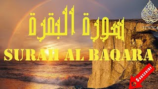 Mohamed Seddik El Menchaoui Surah AL Baqara سورة البقرة محمد صديق المنشاوي [upl. by Aciraa]