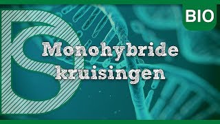 Examen biologie  Monohybride kruisingen Erfelijkheid [upl. by Madalena]