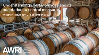 Understanding Brettanomyces and its adaptation to control measure [upl. by Aerb35]