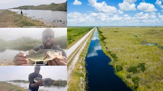 Florida Everglades FishingBest Day Fishing Using Artificial Bait [upl. by Peria811]