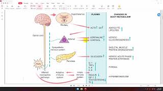 Chapter 1 Bailey and loveMetabolic response to injury [upl. by Berner]