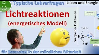 Lichtreaktionen der Fotosynthese  Energetisches Modell lichtabhängigeReaktionen [upl. by Tosch531]