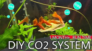 Try This Long Lasting DIY CO2 SYSTEM For Your Planted Aquarium [upl. by Bond]