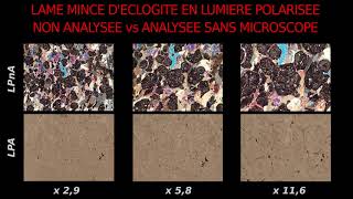 Eclogite à grenats observée en LPnA et LPA sans microscope polarisant SVT Hervé Kempf [upl. by Ardnekat133]