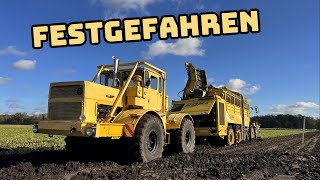 Rübenroder versenkt  K700a Retter in der Not  Farmvlog 154 [upl. by Eedrahc]