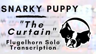 Snarky Puppy  The Curtain Flugelhorn Solo Transcription [upl. by Wilcox]