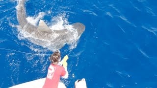 Islamorada Shark Fishing [upl. by Eirollam]