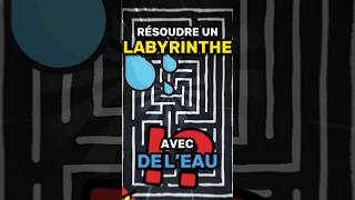 On peut résoudre un LABYRINTHE avec de LEAU  💧 [upl. by Bedelia747]