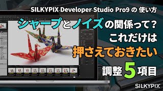 シャープとノイズの関係って？ ～これだけは押さえておきたい調整5項目～【SILKYPIX Developer Studio Pro9の使い方】 [upl. by Saire]