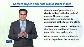 Gametophytes dominate Nonvascular Plants  Biodiversity amp EvolutionII  BT201Topic116 [upl. by Oslec]