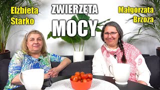 ZWIERZĘTA MOCY  MAŁGORZATA BRZOZA I ELŻBIETA STARKO [upl. by Wilbur375]