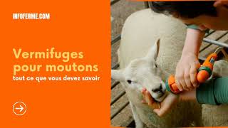 Vermifuges pour moutons🐏  tout ce que vous devez savoir Infofermecom [upl. by Grantland]