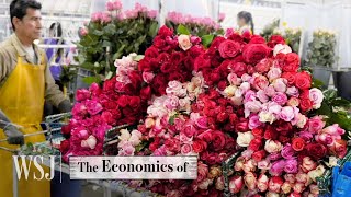 How 23 Million Flowers Are Delivered From Farm To Doorstep  WSJ The Economics Of [upl. by Derwood114]