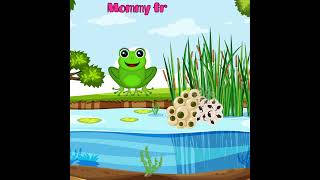 Silly School Songs  Life Cycle of a Frog learning shorts sciencefacts [upl. by Anole413]