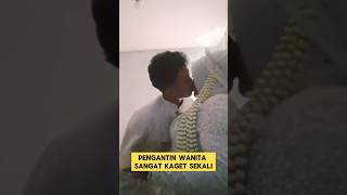 momen lucu ketika pengantin pria nyosor pengantin wanita ‼️ ngakak lucu ketawa pengantinviral [upl. by Ahsirk]