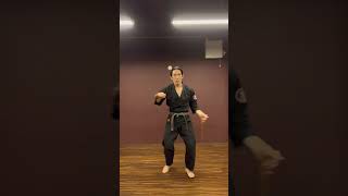 Tonfa training 🐉  Ryukyu kobudo トンファー okinawakarate [upl. by Leahcym]