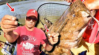 THIS Catfish Fishing Setup Catches MONSTERS How To Locate and Catch Trophy Catfish [upl. by Heaps]