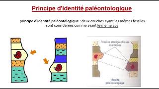 Les principes de la stratigraphie المبادئ الاستراتيغرافية Darija [upl. by Shatzer295]