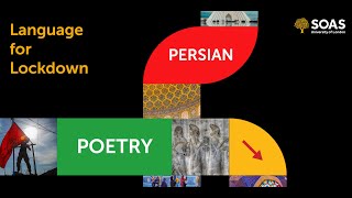 Language for Lockdown Persian Poetry  Academic Life and Rumi [upl. by Daile]