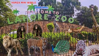 Lahore Zoo  Welcome to Lahore Zoo  Lahore Zoo Complete Review  Amazing Tour of Lahore Zoo [upl. by Asela560]