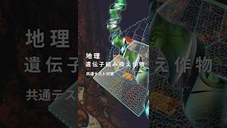 【地理】遺伝子組み換え作物の栽培状況 [upl. by Killoran339]