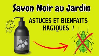 Les Secrets du Savon Noir  Astuces Magiques pour Votre Jardin et Potager [upl. by Zedekiah]