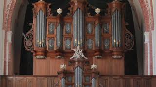 Bach  Gottes Sohn ist kommen BWV 703 [upl. by Eirrek332]