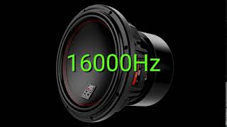 Tone frequency 16000Hz Test your hearing speakersheadphonessubwoofer [upl. by Ulda]