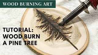 Wood Burning Tutorial Burn A Pine Tree [upl. by Nosnej278]