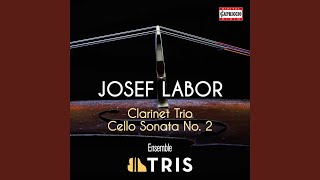 Clarinet Trio in E Minor I Allegro comodo [upl. by Wenn]