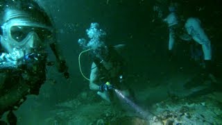 Diving Manatee Springs in Chiefland Florida [upl. by Kadner]