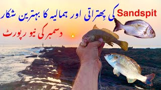 Humaliya fishing Karachi 2024 Sandspit fishing 2024 Fishing updates Karachi 2024 [upl. by Airdnola]