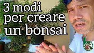 3 modi per creare un bonsai Parte 1 [upl. by Newg]