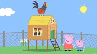 Peppa Pig Nederlands  Kippen  Tekenfilms voor kinderen [upl. by Vail53]