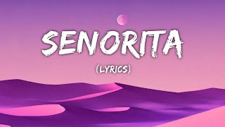 Senorita slowed and reverb  Lyrics video [upl. by Adonis963]