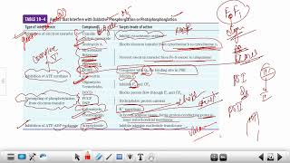 DBT BET JRF 2023 Last Minute Rapid Revision  Important Points amp Tables  Part 3  dbtjrf2023 [upl. by Wirth]