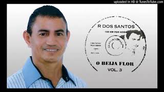 R DOS SANTOS quotO BEIJA FLOR quot VOL 3  11 Track 11 [upl. by Naujud272]