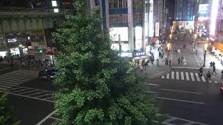 オノデンch【秋葉原ライブカメラ Akihabara live camera】 [upl. by Ennaeerb]