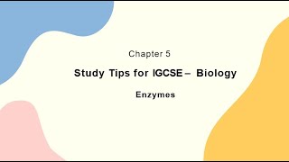 Study Tips for IGCSE  Biology  Enzymes [upl. by Ycart]