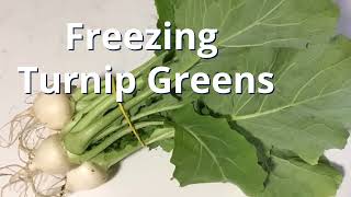 Freezing Turnip Greens [upl. by Atikan719]