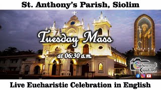 Tuesday English Mass Live at 630am 5th Dec 2023  St Anthonys Church Siolim [upl. by Aihsekyw701]