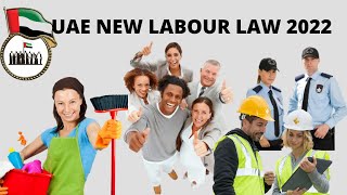 UAE Labour Law 2022 Amendments Salary ResignationParental LeaveOvertime and passports Explained [upl. by Ettedranreb515]