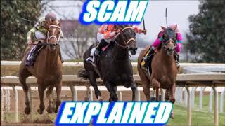 Horse Race Betting Scam Explained  Bruce Williams [upl. by Anirak]