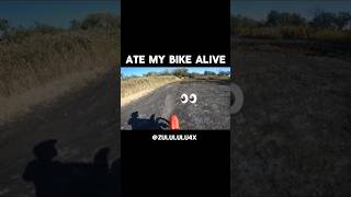 I Crashed My Pit Bike In A Pothole dirtbike motorcycle shorts motocross [upl. by Fennell]