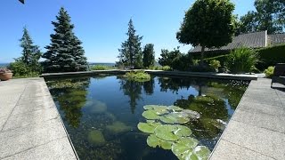 Modern Koi Blog 305  Koiteich mit Unterwasserlandschaft und Bachlauf [upl. by Ilegna]