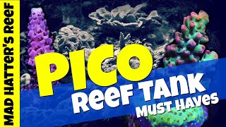 5 PICO Reef Tank Must Haves [upl. by Sesiom]