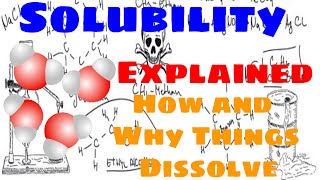 Solubility Explained [upl. by Nirra]