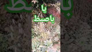 Ya basito wazifa yabasito urdu wazify [upl. by Nosral755]