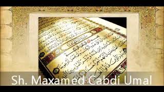 Tafsiir Surah 92 AlLayl ۞ Sh Maxamed Cabdi Umal [upl. by Gilberte]